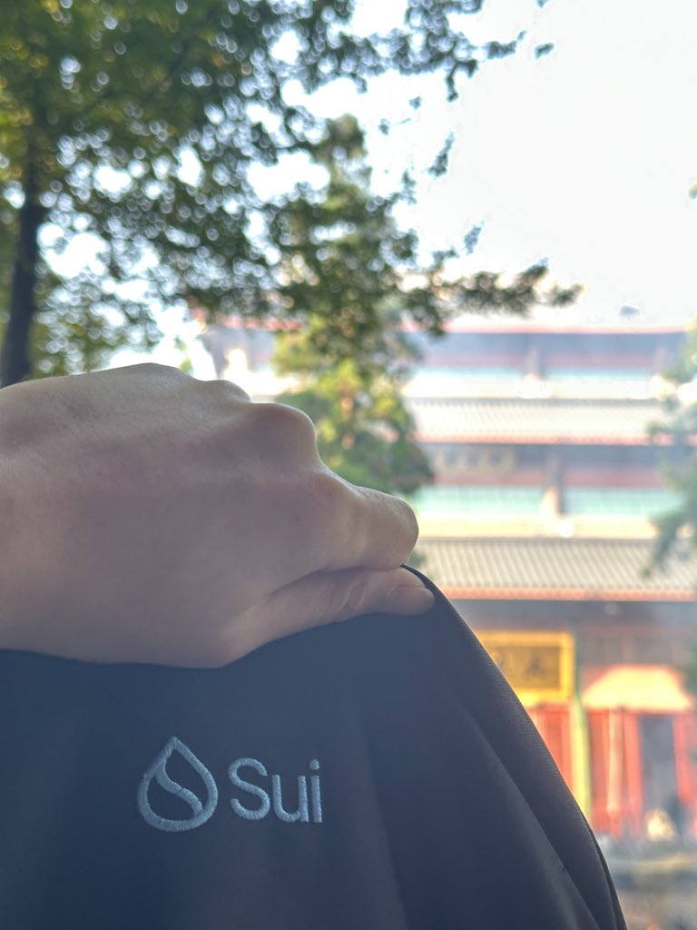 pikapikasui's tweet image. Take my mom on a trip.