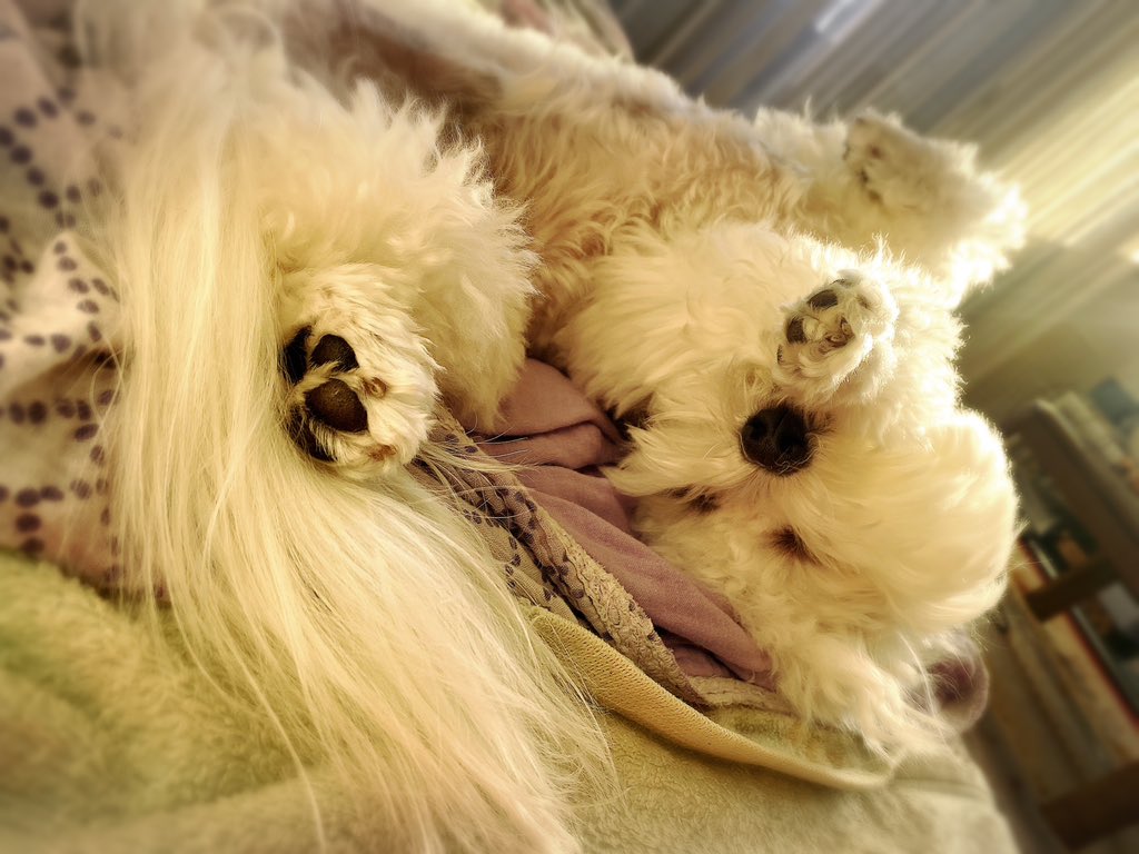 ちいこ (@chi_ko0529) / Posts / X