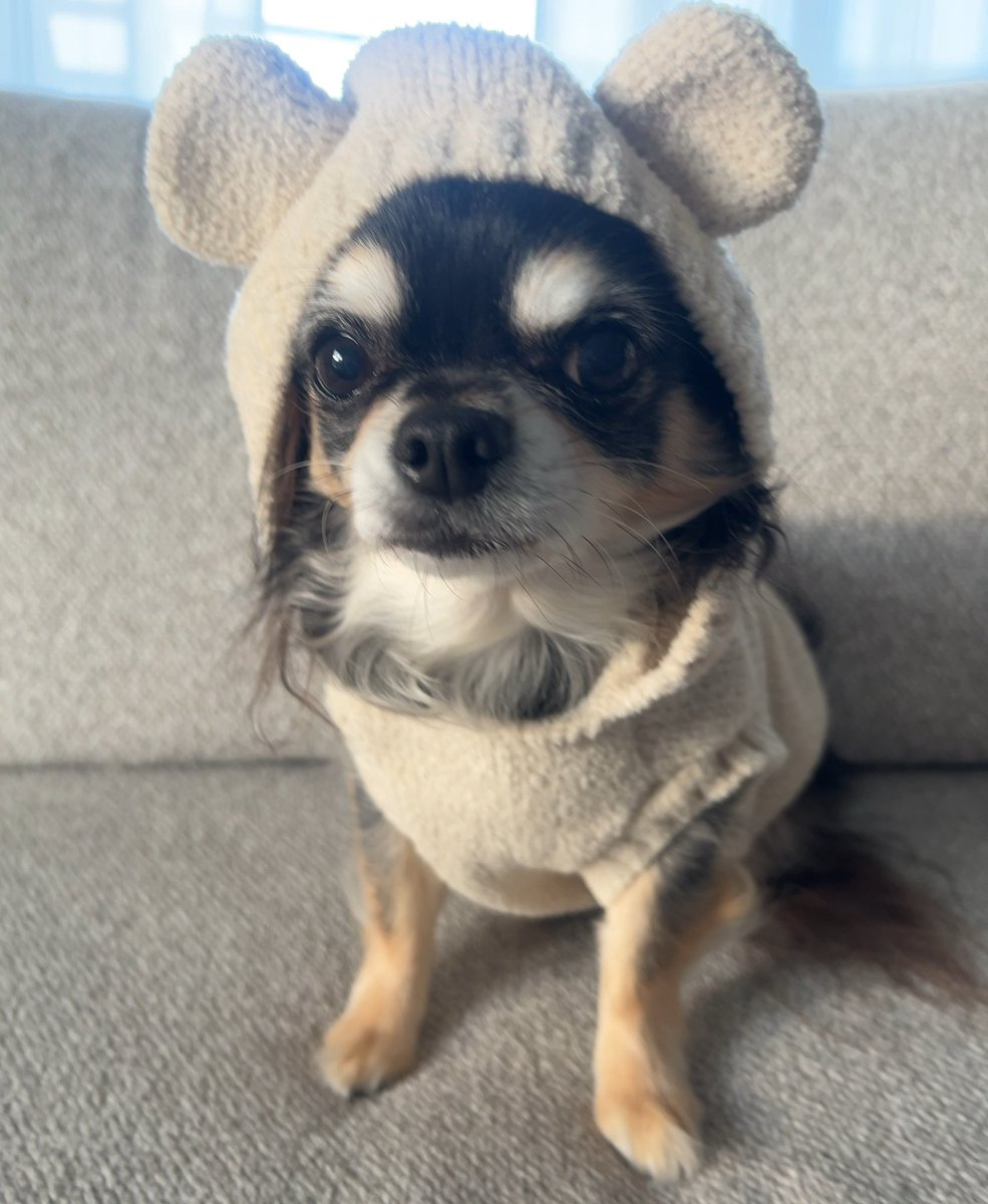 【河合塾】『英文法・語法演習　高山のぞみ先生　第1講授業ノート』　　+α 河合塾】『英文法・語法演習 高山のぞみ先生 第1講授業ノート』 +α