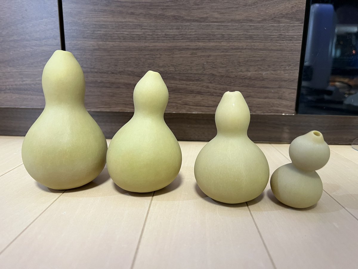 kimuraebinamazu's tweet image. ヒョウタンの種だし！
これ結構大変で、一つのヒョウタンから全部出すのに1時間くらいかかります…今日は方があがらんのでもう終わり😇
残り…5個😇
#センナリヒョウタン