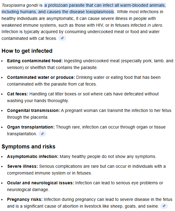 Kaushal K Singh tweet media