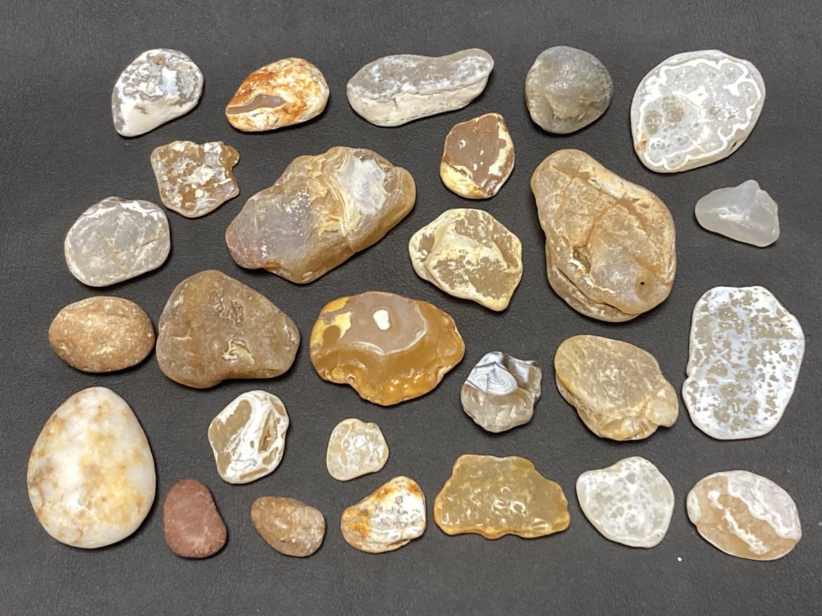 いつもの場所で瑪瑙拾いをしてきました。
雪がちらほらと降り、石拾いのシーズンもまもなく終わりです。
白色や黄色のそこそこ大きな瑪瑙が拾えました。
#石拾い
#ビーチコーミング