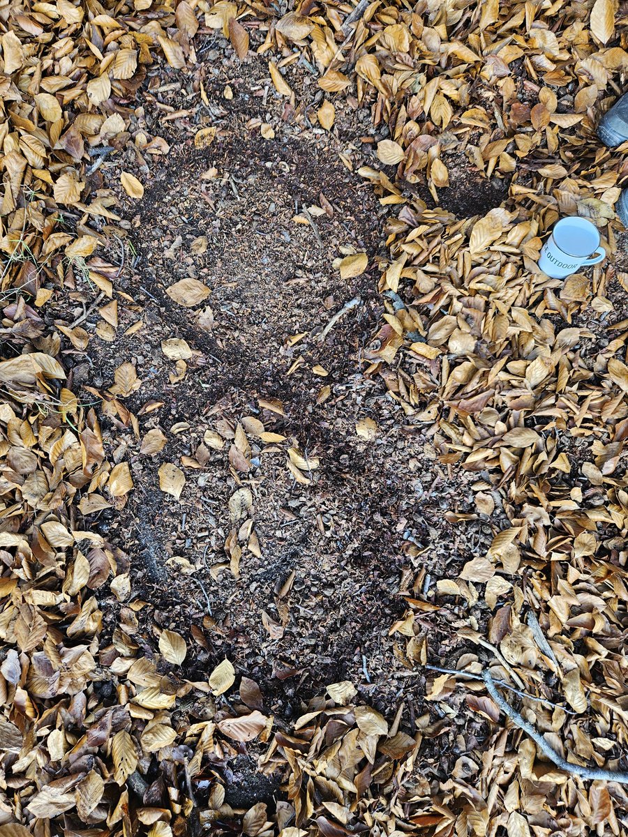 Stel, alles in ons leven is verbonden tussen twee polen. Hoe houd jij balans? We doorliepen afgelopen week met een aantal deelnemers van Presence Outdoor deze lemniscaat van het leven. Om balans te vinden, bewust te wprden van keuzes en te herkennen dat de polen sturend zijn.