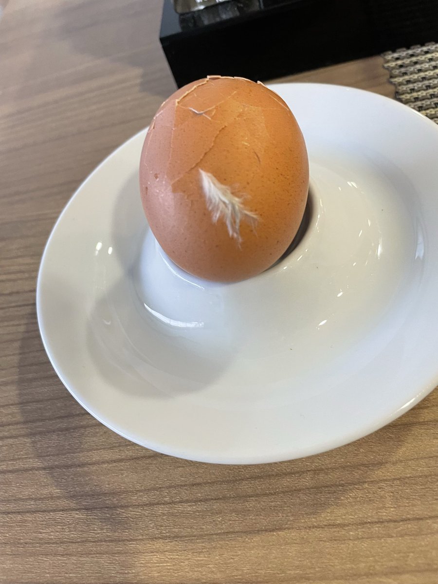 .
Yıllardır Alamanyalarda çalışıp emekli olduktan sonra memleketine dönen yumurtanın hazin sonu🥺