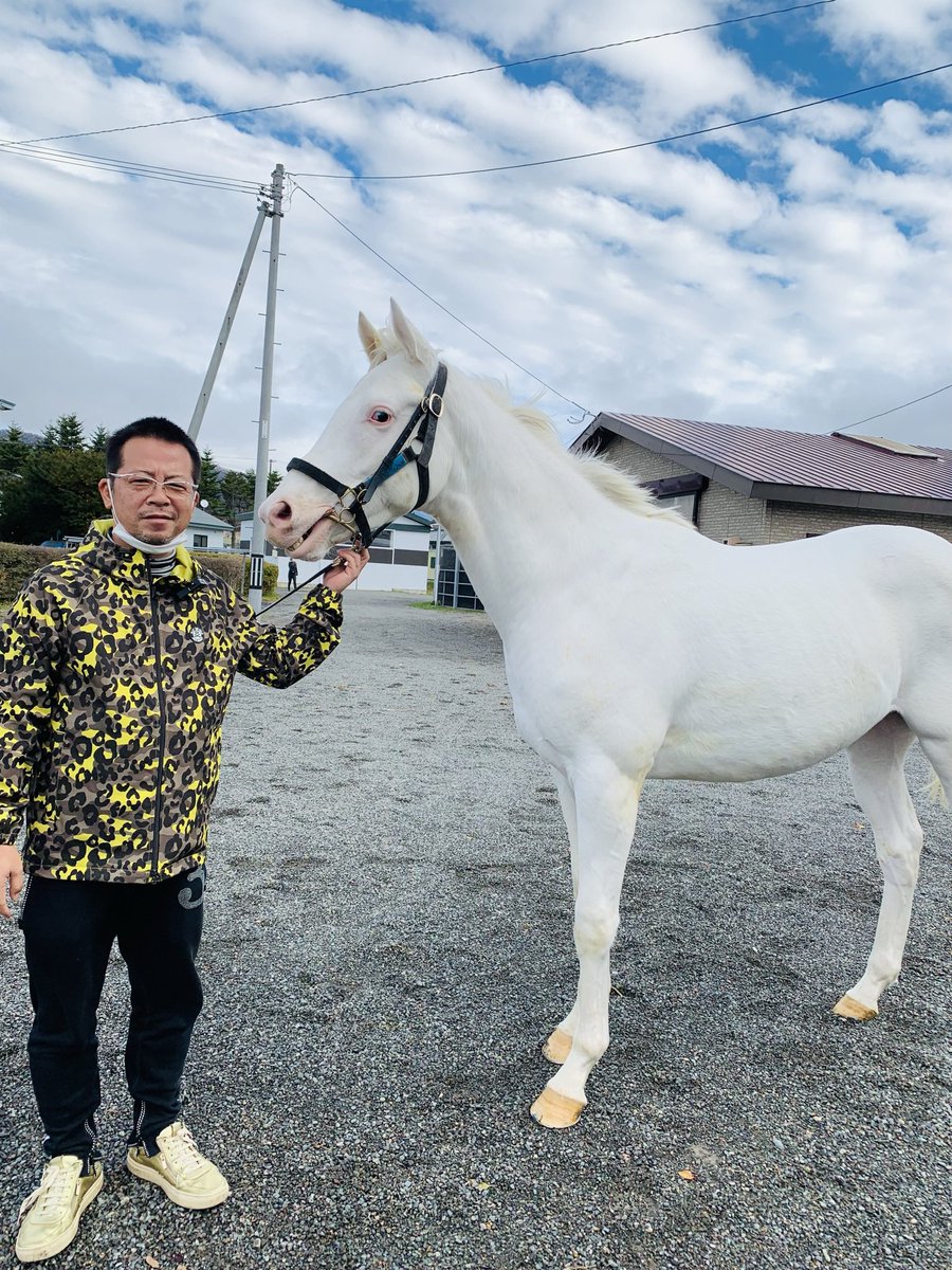 CONSA FULLCOMMIT (@morihitter) / Posts / X