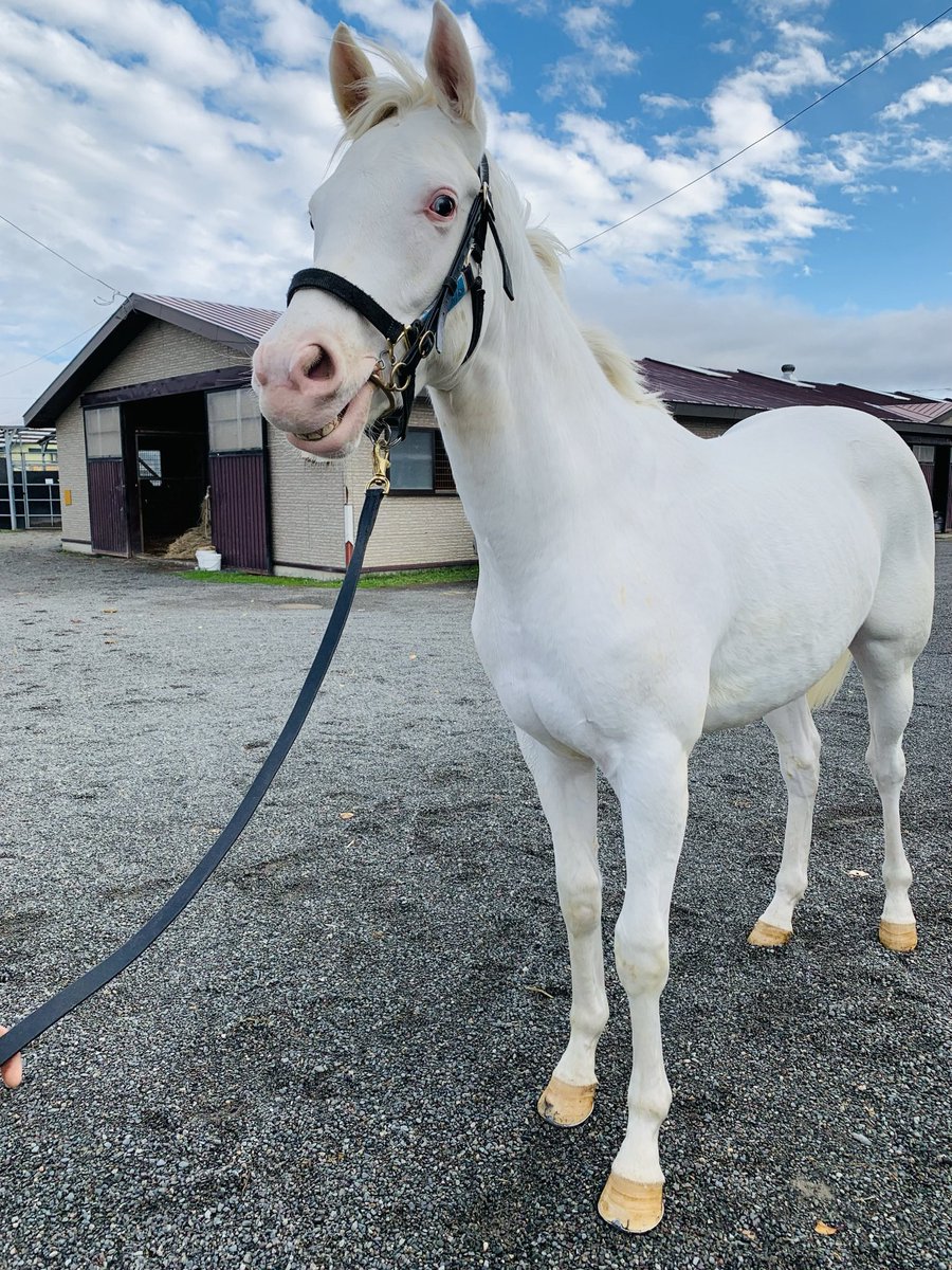 CONSA FULLCOMMIT (@morihitter) / Posts / X