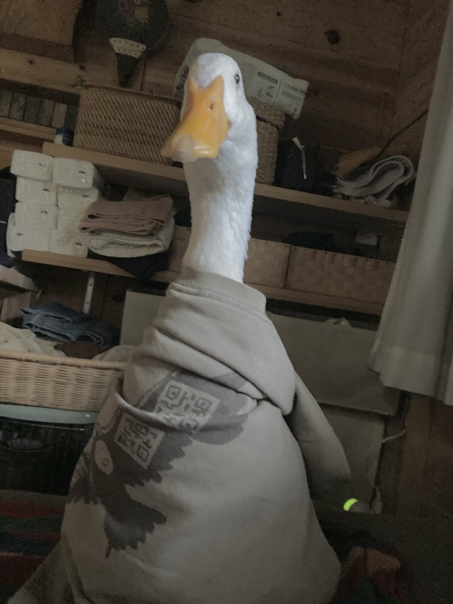 aotoudai's tweet image. 服巻いたらめちゃくちゃ気に入ったらしくて静かになっちゃった