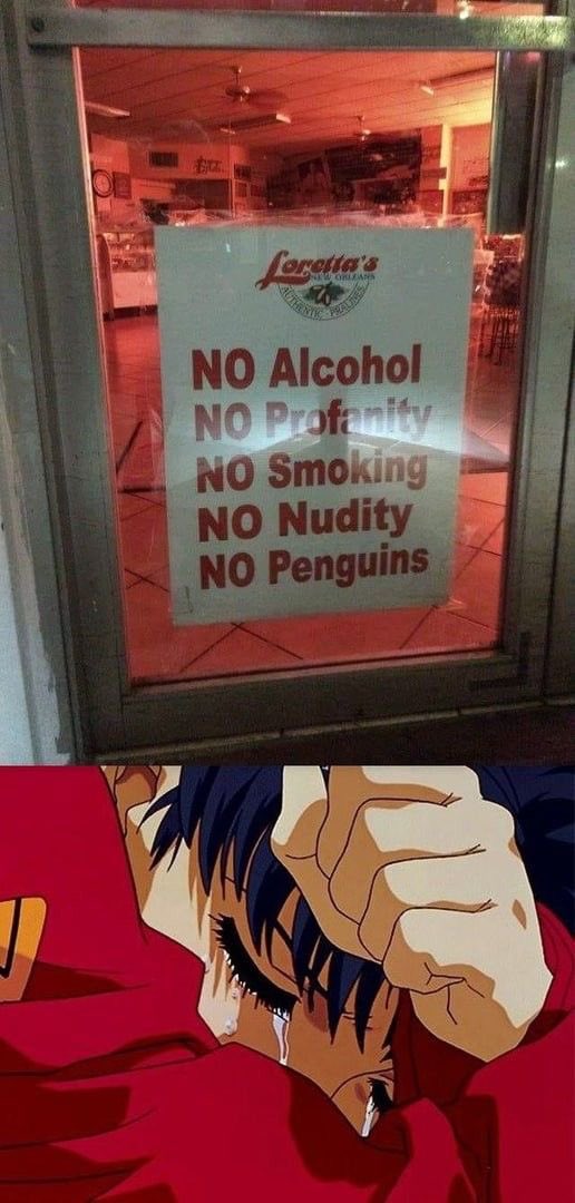 neongeneshit reserva (@neongeneshitt) on Twitter photo 