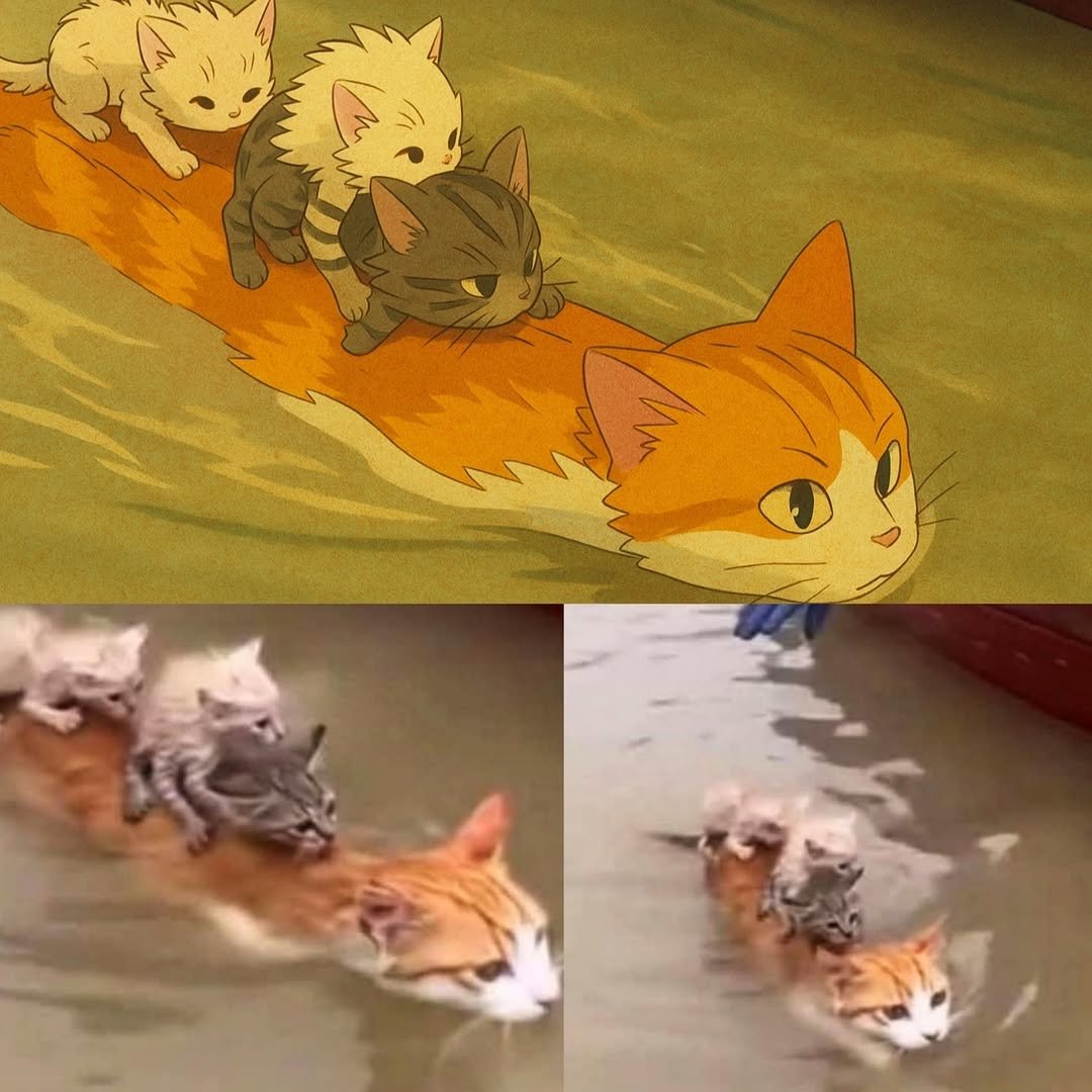 catsareblessing's tweet image. A mother cat braved the waters to protect what she loved most.