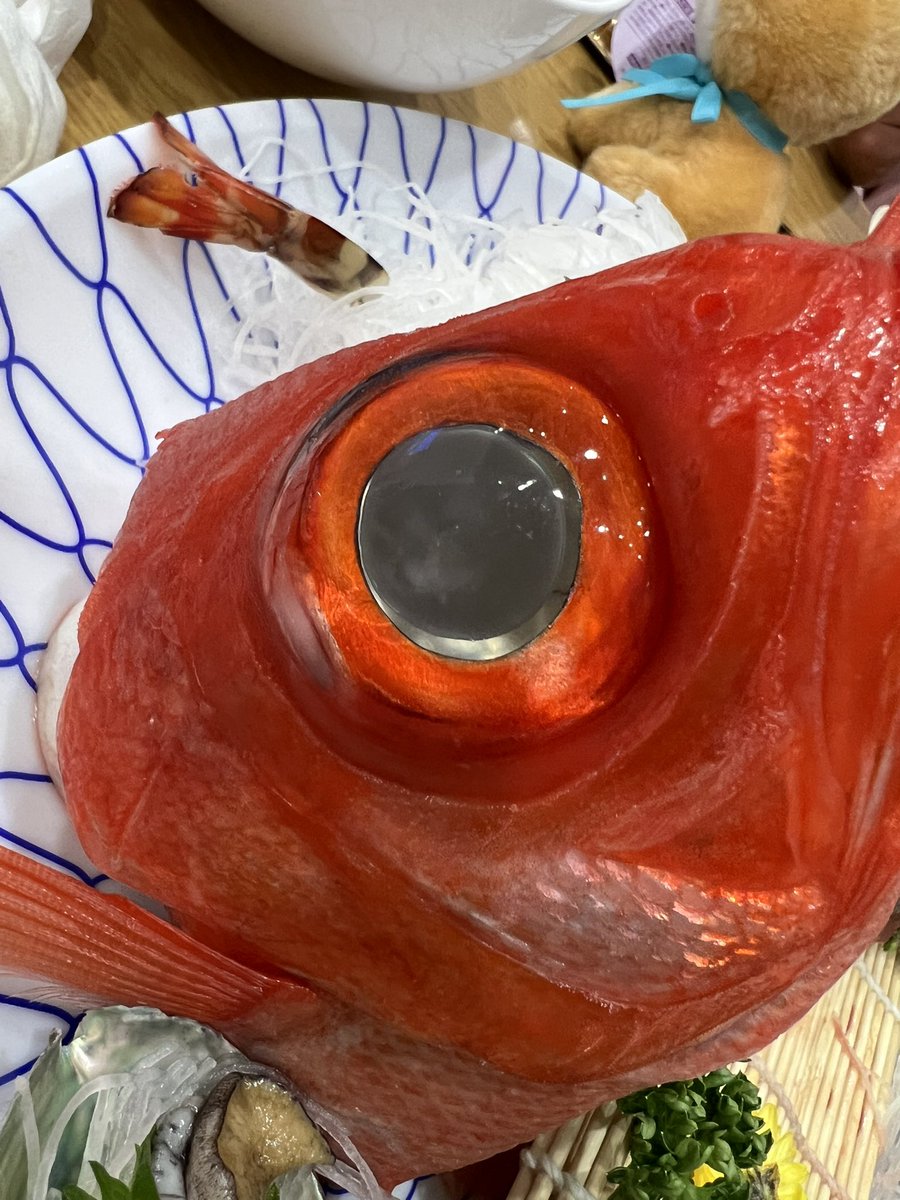 KANA🐰12/20ワンマンライブ🌼 (@KaNa__Py0N) / Posts / X