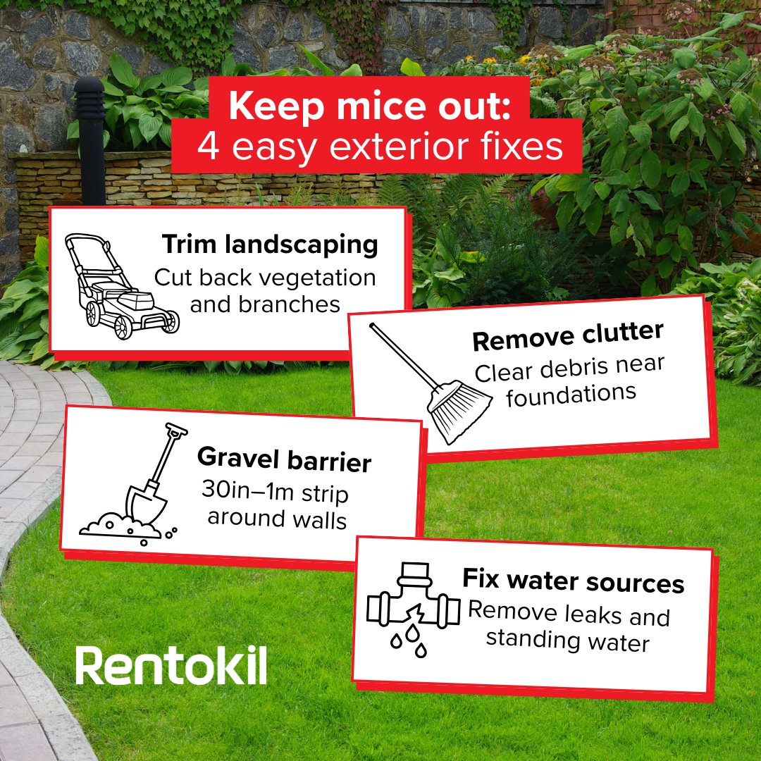 Did you know that overgrown plants, clutter, and leaky faucets can create the perfect welcome mat for mice?

Here are four exterior maintenance steps to help keep them away from your building.