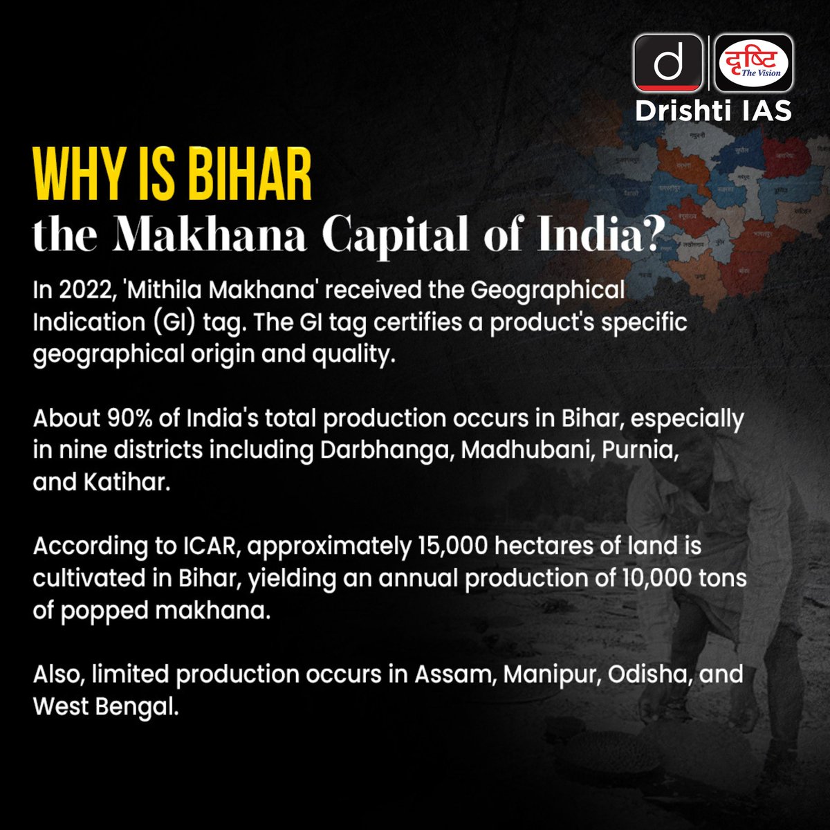 drishtiiaseng's tweet image. Makhana isn’t just a crop - it’s Bihar’s agricultural pride and India’s next big superfood story.
From Mithila’s ponds to global shelves - the rise of the Black Diamond..
.
#Makhana #MithilaMakhana #GITag #BlackDiamond #BiharEconomy #AgriReform #SuperfoodIndia #MakhanaBoard…