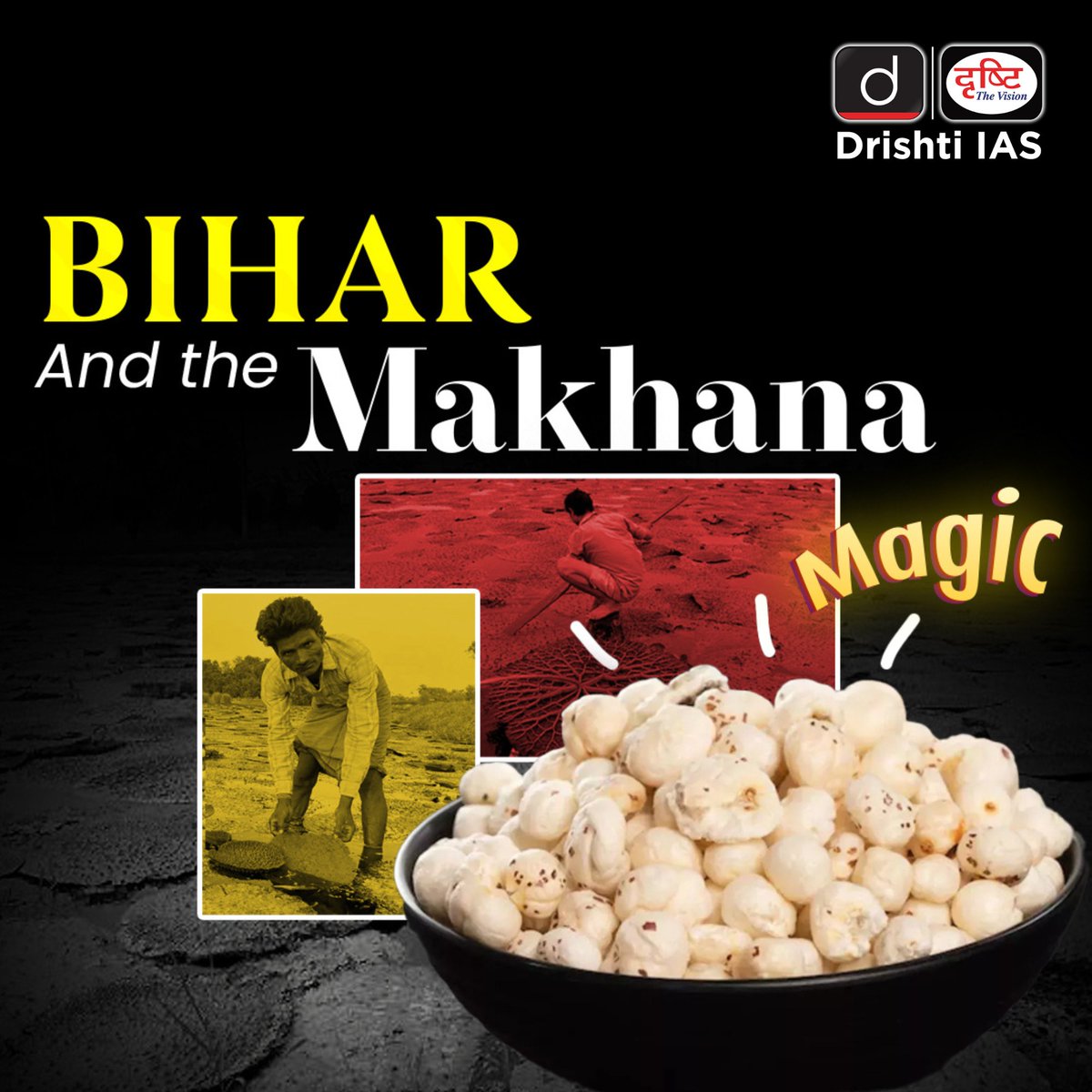 drishtiiaseng's tweet image. Makhana isn’t just a crop - it’s Bihar’s agricultural pride and India’s next big superfood story.
From Mithila’s ponds to global shelves - the rise of the Black Diamond..
.
#Makhana #MithilaMakhana #GITag #BlackDiamond #BiharEconomy #AgriReform #SuperfoodIndia #MakhanaBoard…