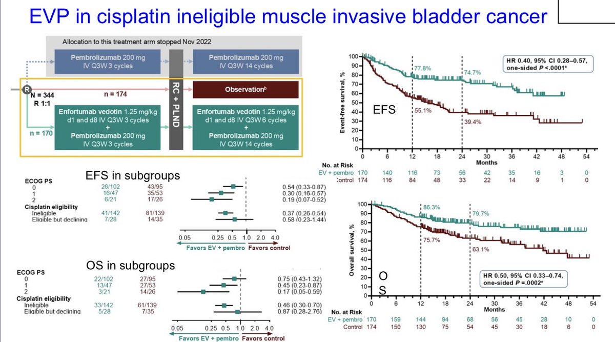 Uromigos's tweet image. Keynote-905 shows EVP/cystectomy supersedes surgery alone in cisplatin ineligible muscle invasive bladder cancer. How does ctDNA fit into this and how much EV is needed? Why does the survey arm perform poorly? The video below addresses this issue from our recent Uromigos meeting.…