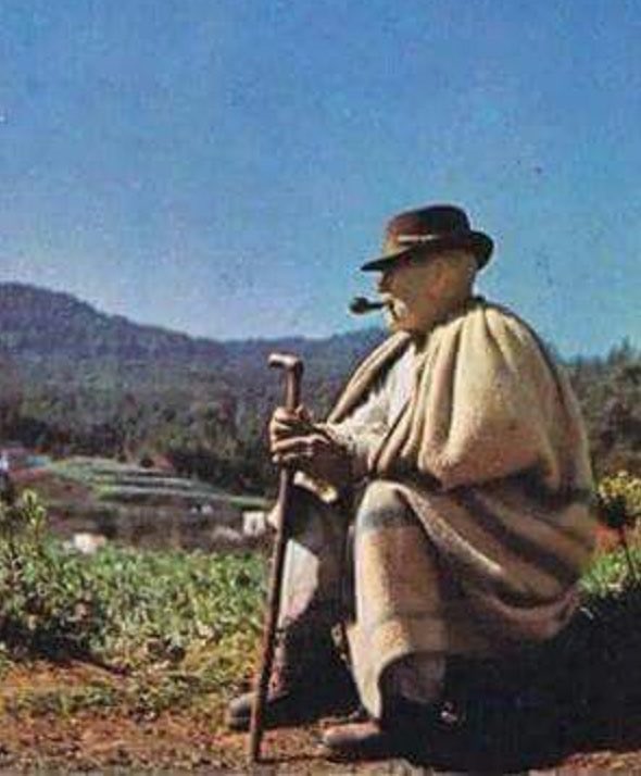 A nadie se le ocurre hacer un mural de lo nuestro, de nuestra gente (entre otras cosas) 
Y te ves murales de gente o cosas NO canarias, a tutiplén, 
Este es el nivel de adoctrinamiento q tenemos en estas islas: 
tú canario no, no sirves, el de fuera si. Tú eres un inútil, aparta