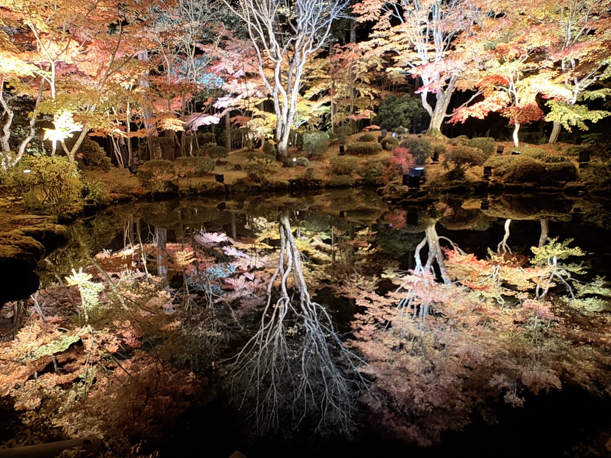 フォロワー様にお裾分け🍂

ぜひ、観に来てください🫶