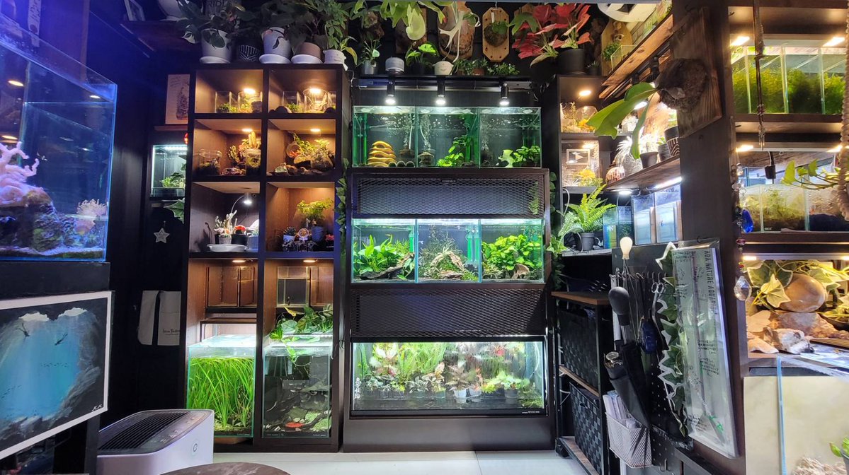 naonaogunsou's tweet image. やりたい事全部詰め込むと、こんな部屋になります。
※五畳の寝室