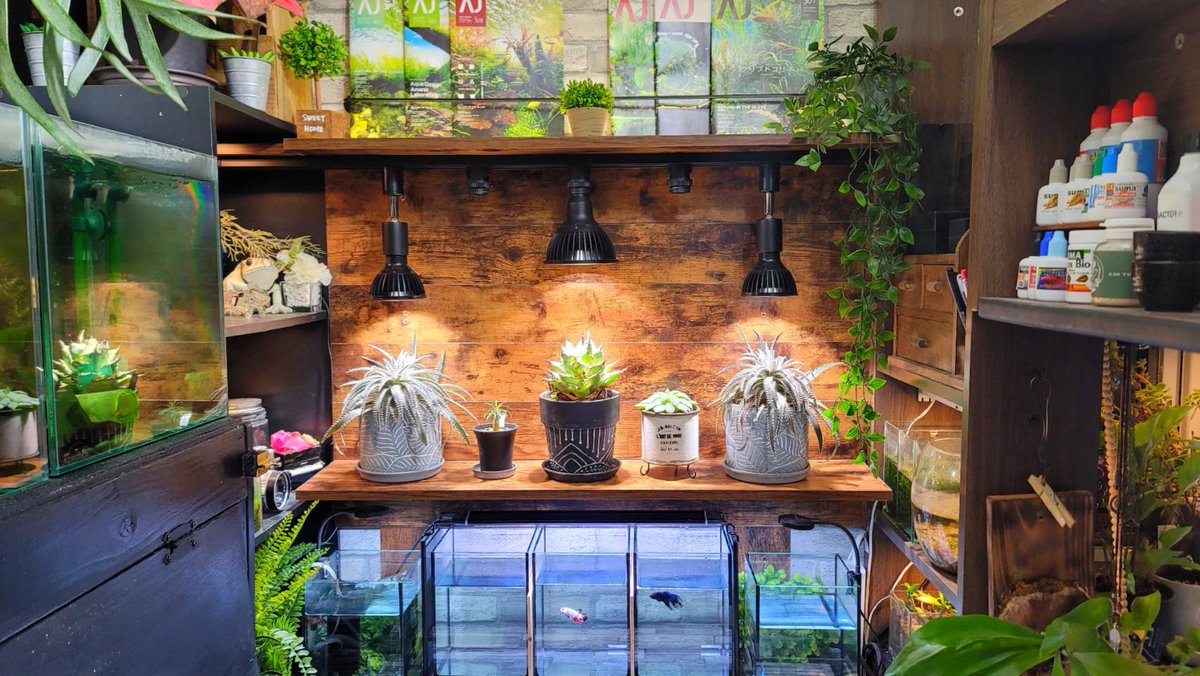 naonaogunsou's tweet image. やりたい事全部詰め込むと、こんな部屋になります。
※五畳の寝室