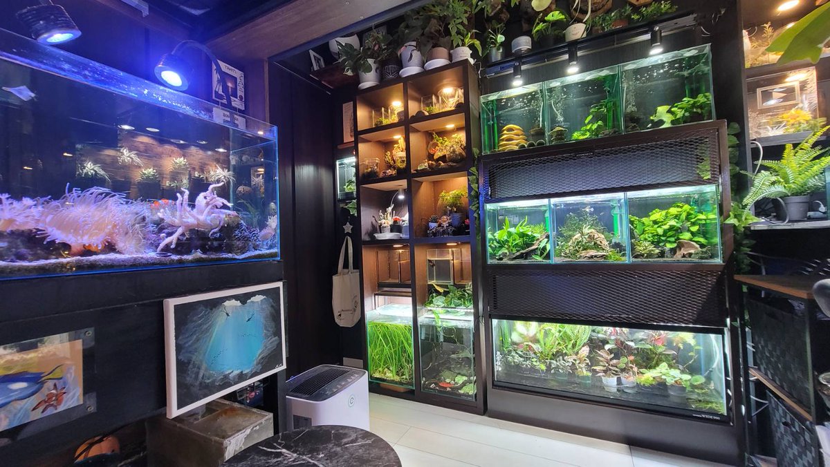 naonaogunsou's tweet image. やりたい事全部詰め込むと、こんな部屋になります。
※五畳の寝室