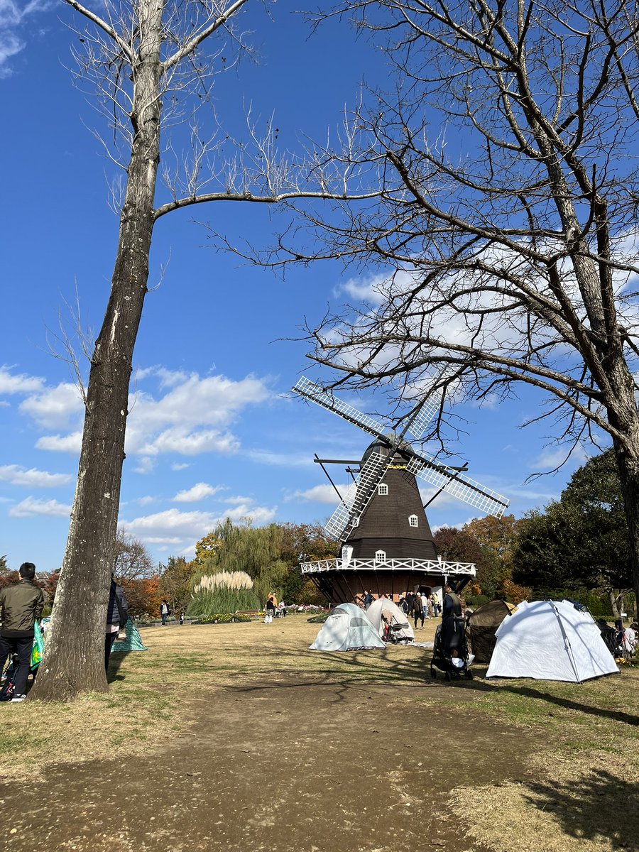 コスモス 秋風に揺れるコスモス100万本 家族連れやカメラ愛好家らでにぎわう