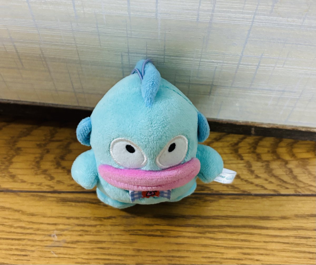 はんぎょどどどん (@hangyosayuri) / Posts / X