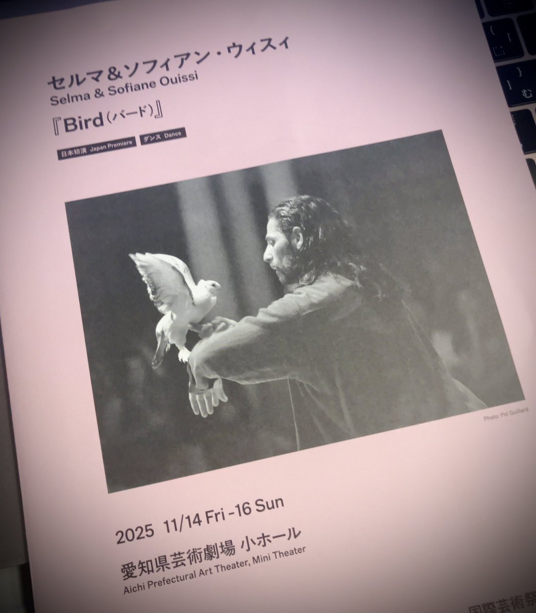 セルマ&amp;ソフィアン・ウィスィ『bird』作品の中心的存在ながらその文脈の埒外にあり、ウィスィの頭上や腕上や舞台上を出入りし、興味深そうに眺めたり無関心に通過したりする白い鳩。人間の思うに任せぬ自然の奔放さと魅力。ジヘッド・クミリの音楽と、ウィスィの踊りや貝殻のついた腰蓑?の音の共演も。