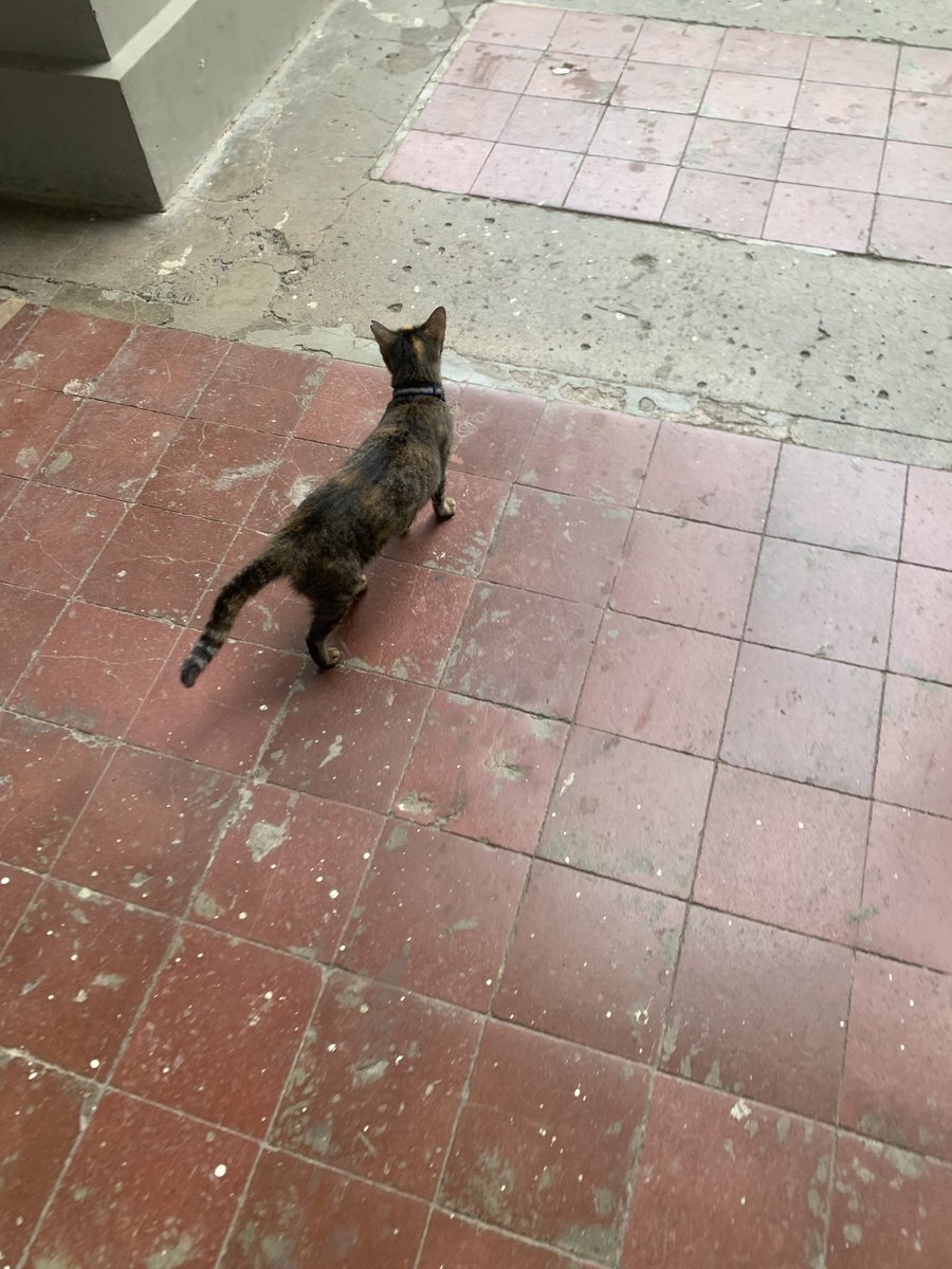 studyvuitton's tweet image. ꒰1️⃣3️⃣꒱ ꒰ 111425 ꒱

chillest week of the semester! 

꒰ #studytwt #lifetwt #archivetwt #studyLEOgs #lifeLEOgs ꒱