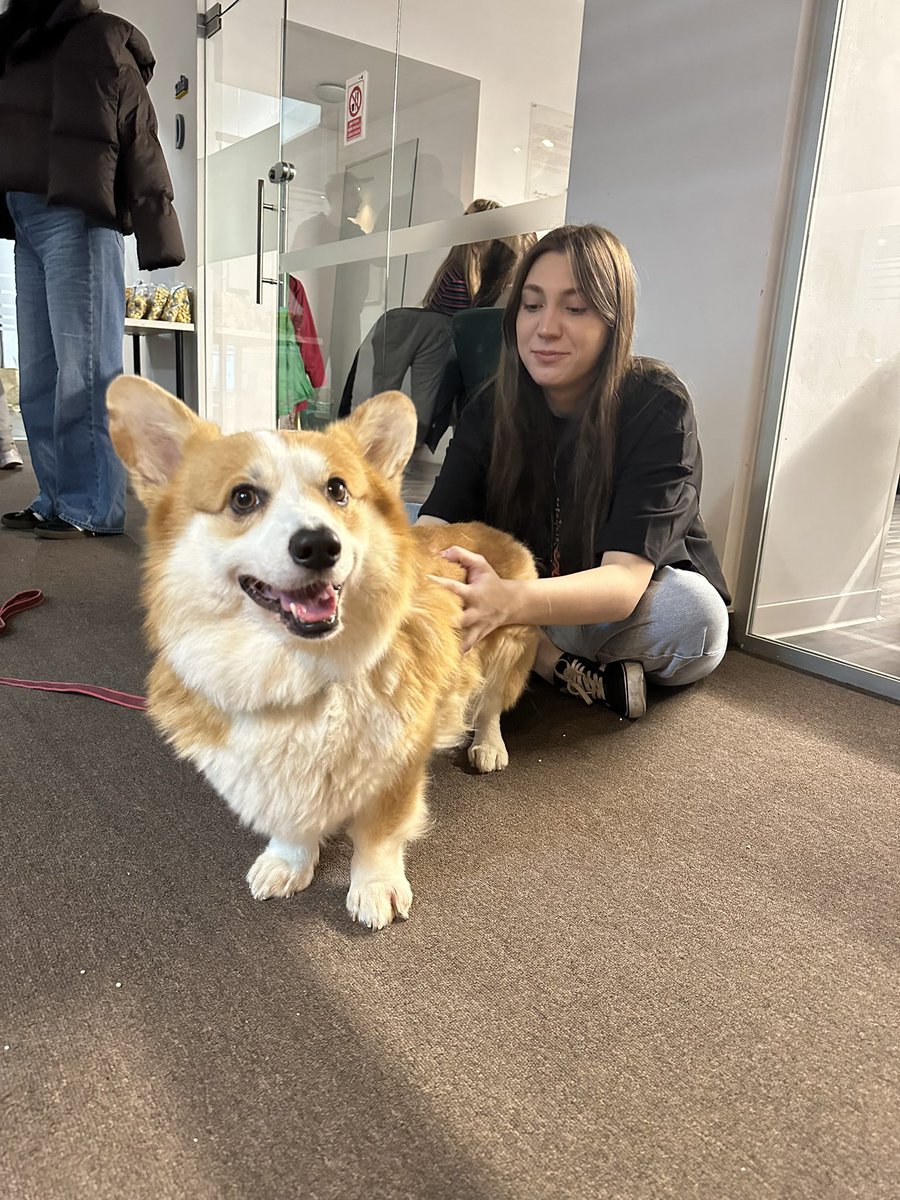 sasha_tanase's tweet image. I am 4 years old, new to crypto. 
Can you give me any advice?