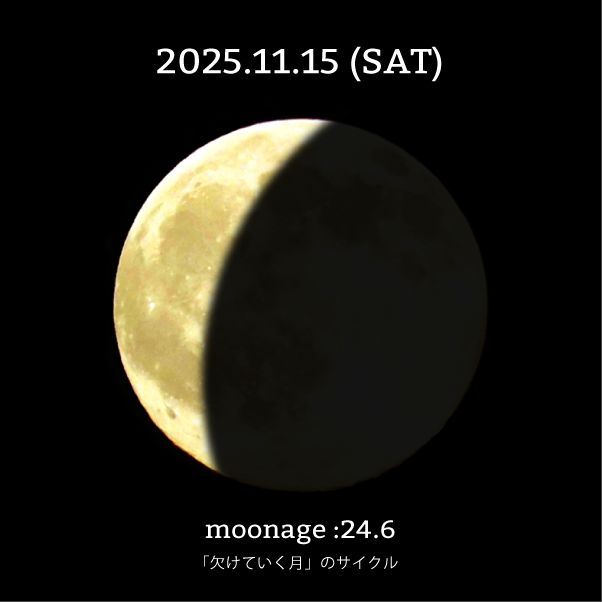 moon_cycle (@mooncylce) / Posts / X