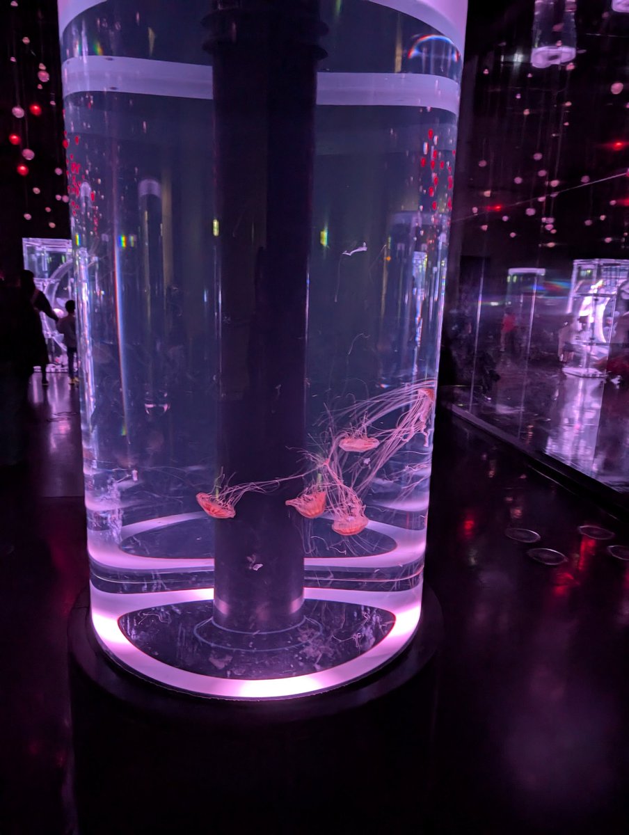 まろ姉とデートしてきた