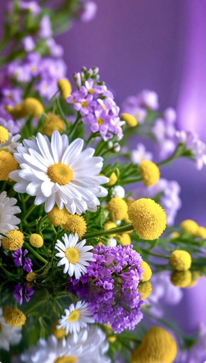 مساء الورد ….