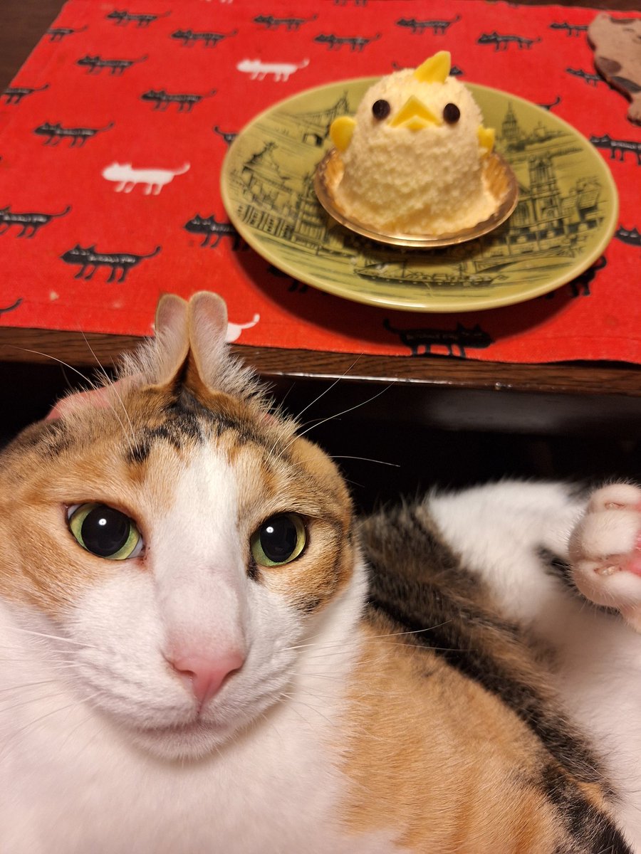 猫むぐり (@necomuguri299) / Posts / X