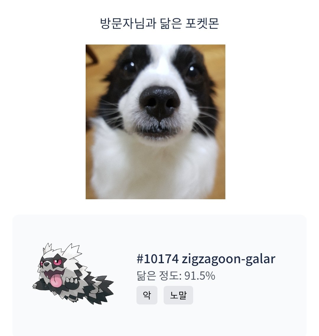 이건 공계에도 자랑해야됨