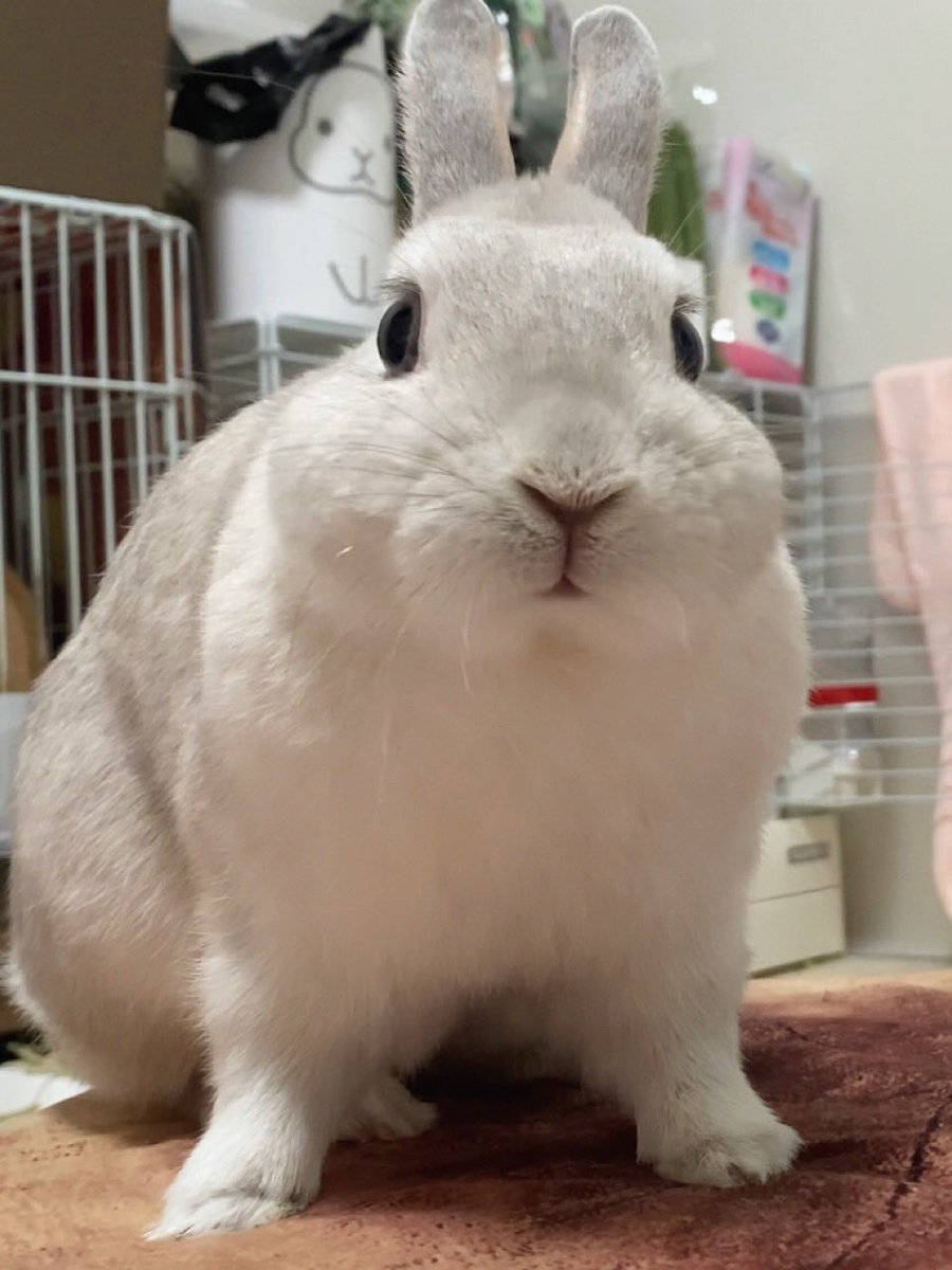 もっちりかわいい☺️