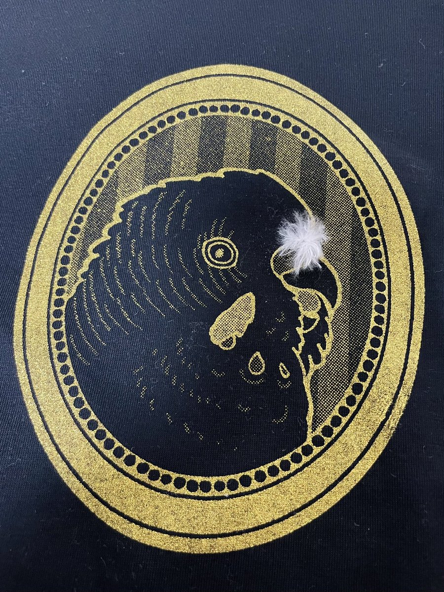 nyuushibou's tweet image. 朝から必死で何もツイートできてませんでしたが、本日デザフェスでセキセイハイムに来ていただいた皆さん、ありがとございます‼️

明日もよろしくお願いします❗️
ほわ毛T（メンズL）はラスト1でーす。