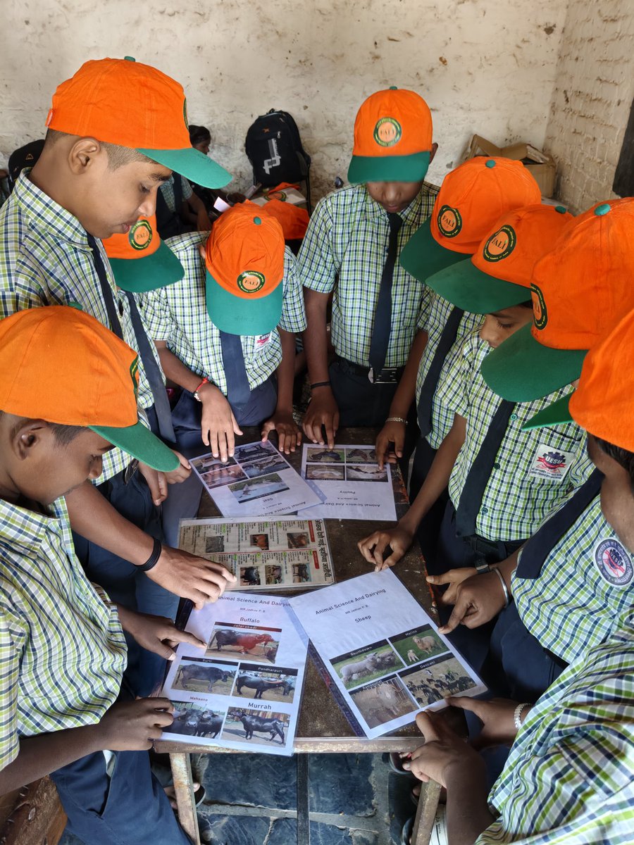 FALIAgriculture's tweet image. Learning about animals, for a future where they thrive #AnimalScience #FutureVets #livestock