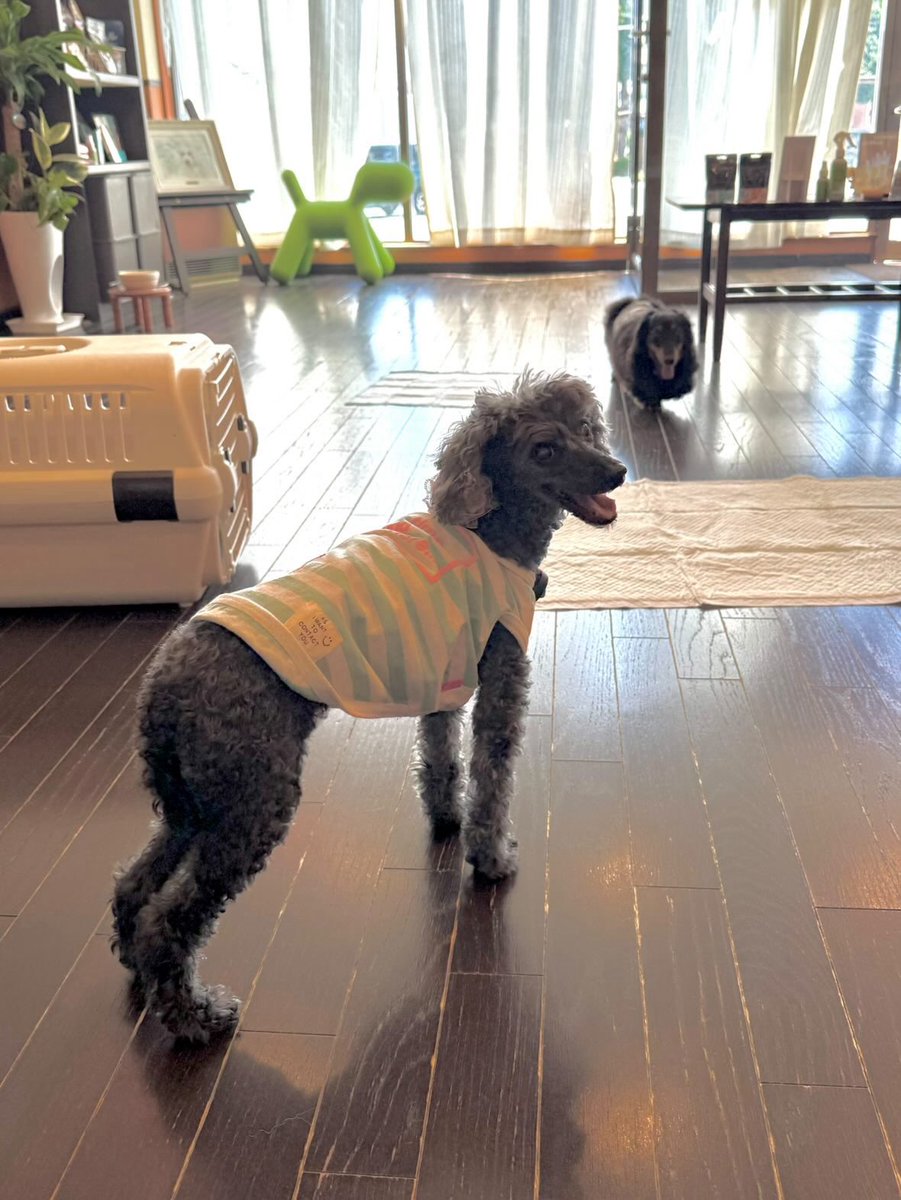 risa🧸 (@_0123risa) / Posts / X