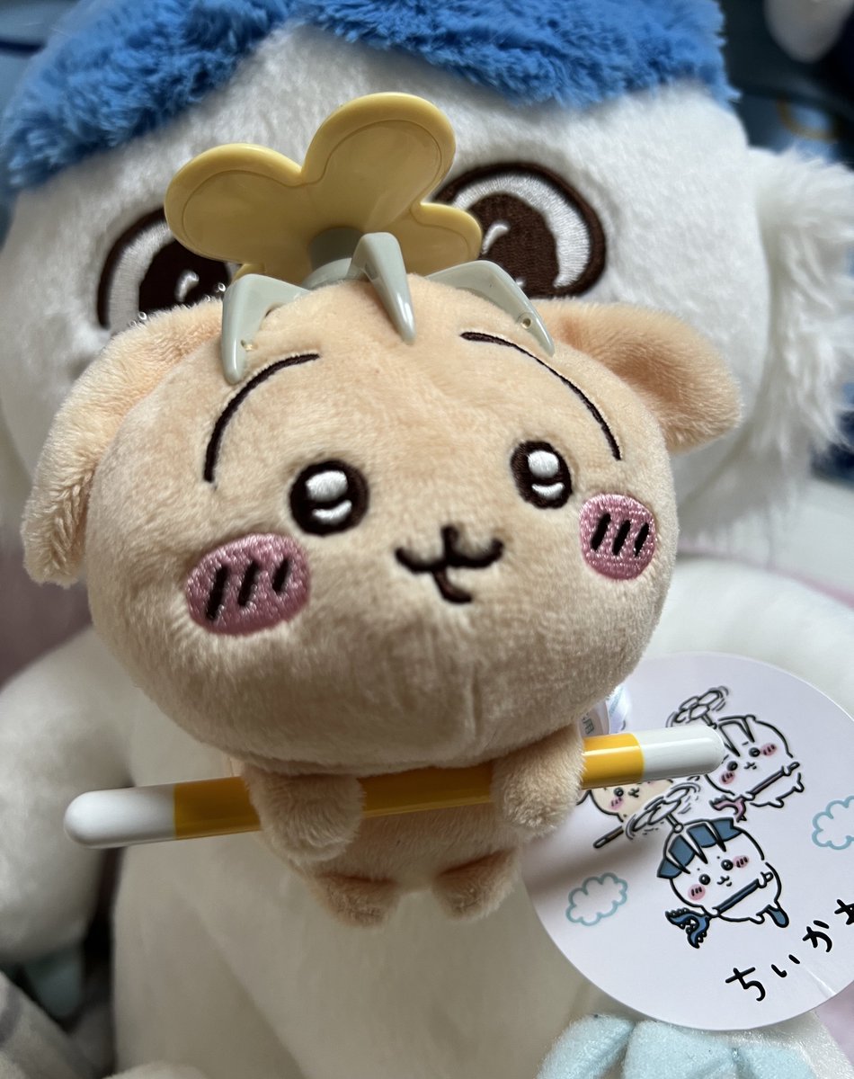 りこぴん (@ricopin916) / Posts / X