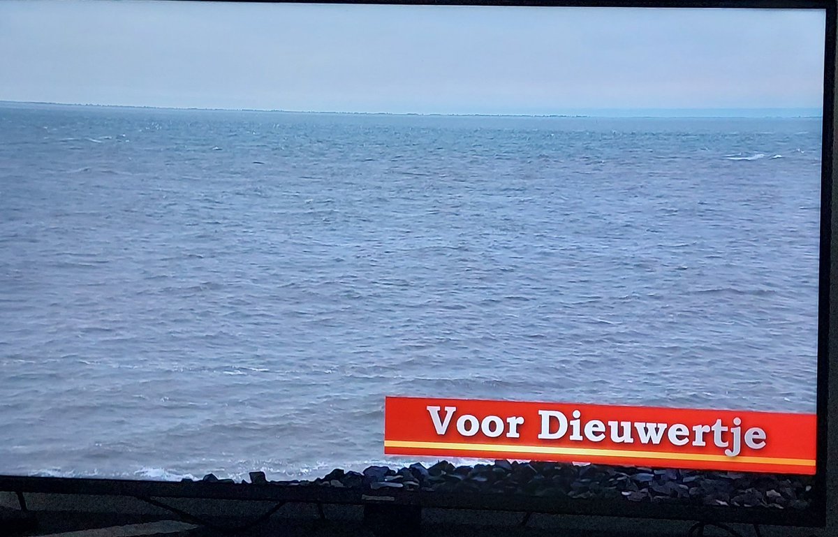 Lianne van Veen tweet media