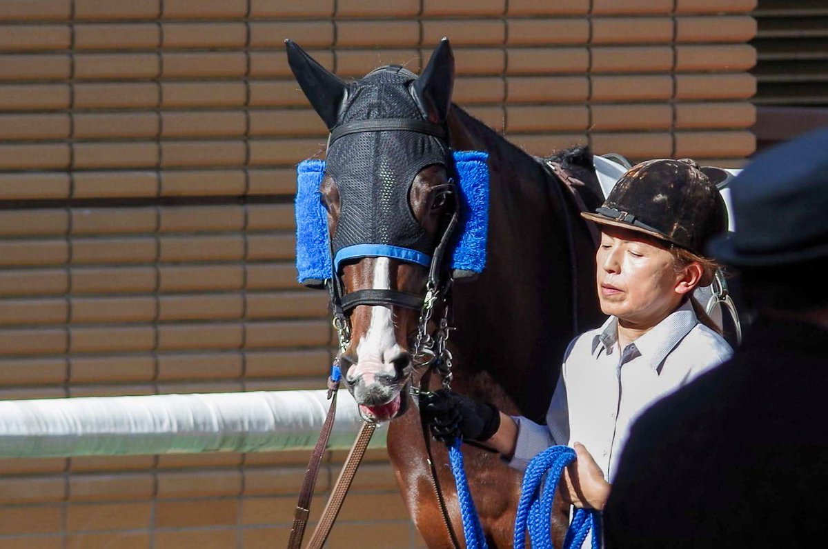 🍎りんごちゃん🍎 (@apple21064) / Posts / X