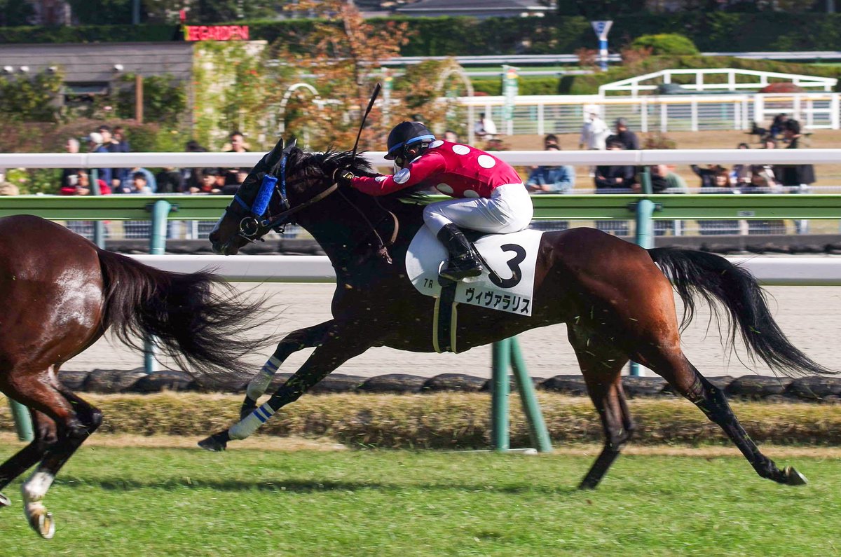 🍎りんごちゃん🍎 (@apple21064) / Posts / X