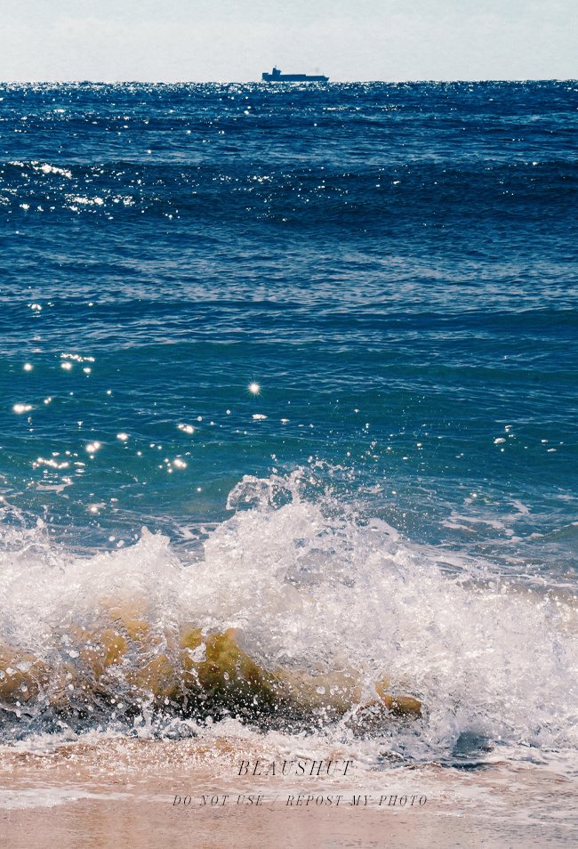 청 (@blaushut) on Twitter photo 