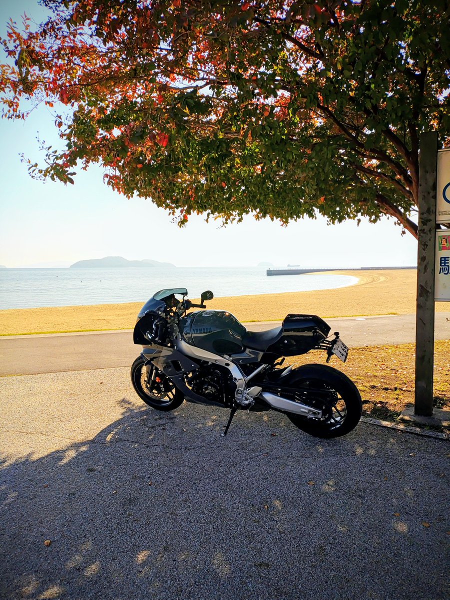 yocharu's tweet photo. #carpbeach https://t.co/W2sBOENSZO
