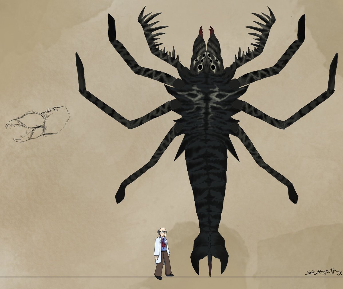 assectatorforceps harenae
(for project paradise)