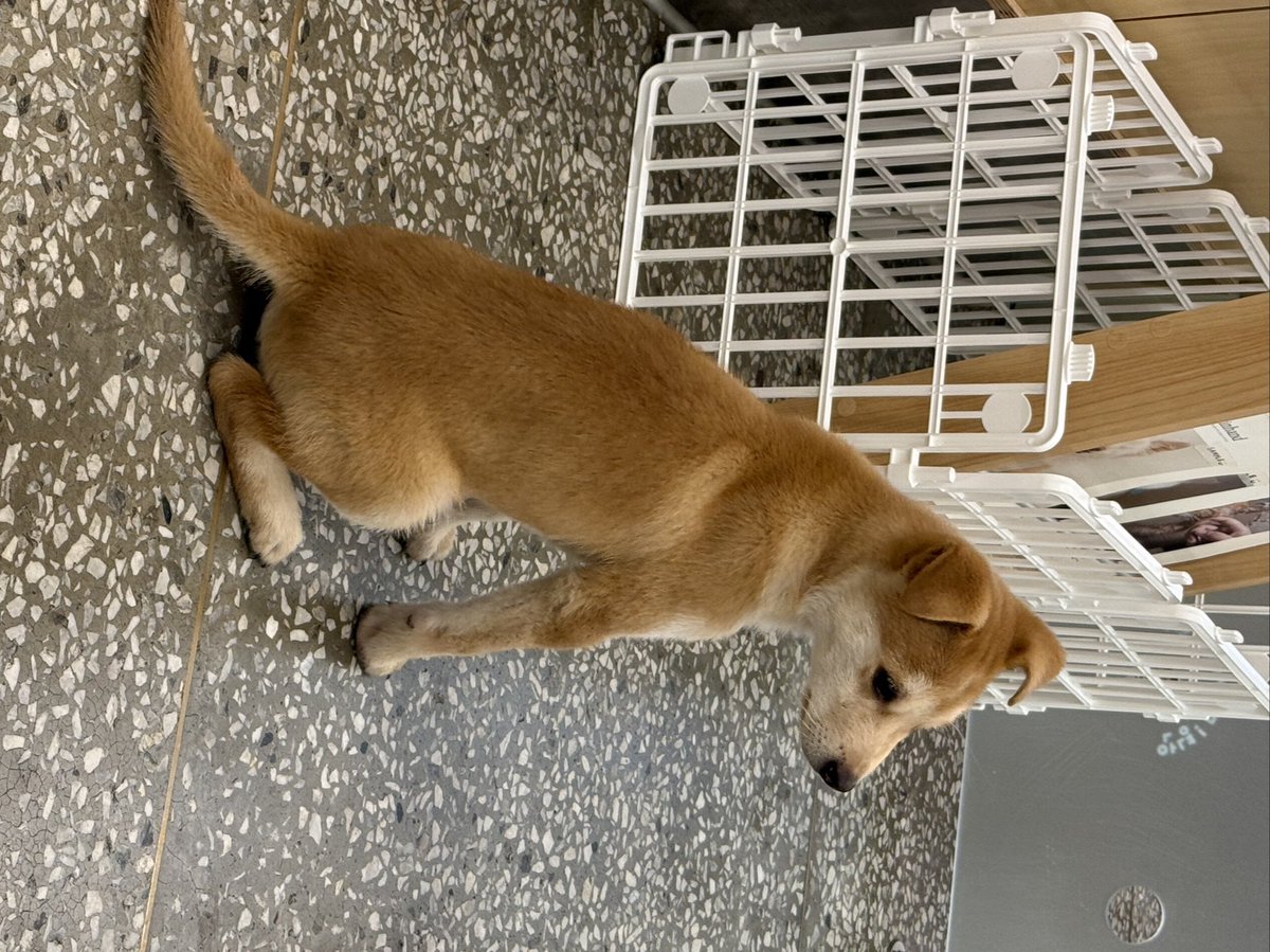 가나디들과 함께하는 즐거운 시간…✨🎶
맛있는 거 왕창 먹구 성찬영 덕질했우요🪽💭