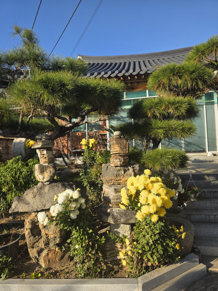 A traditional Hanok building, along with a well-kept garden.✨️