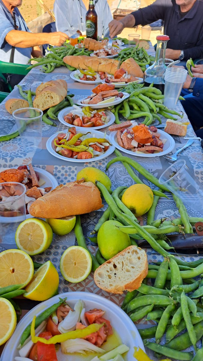 🍋 Después de regar el brócoli almuerzo huertano en el bancal.