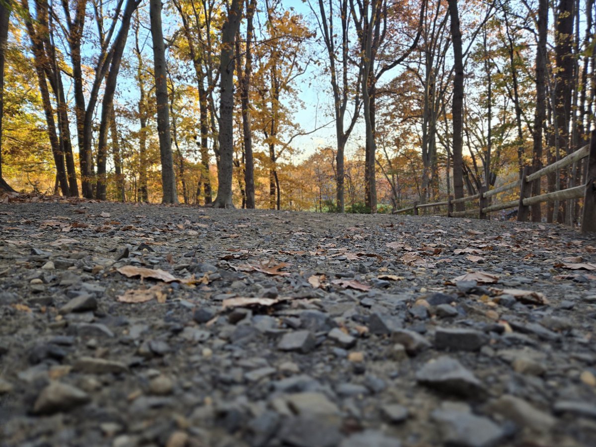 Rise and shine ☀️ it's race'n time! Holmdel awaits. See you at the Meet of Champions.