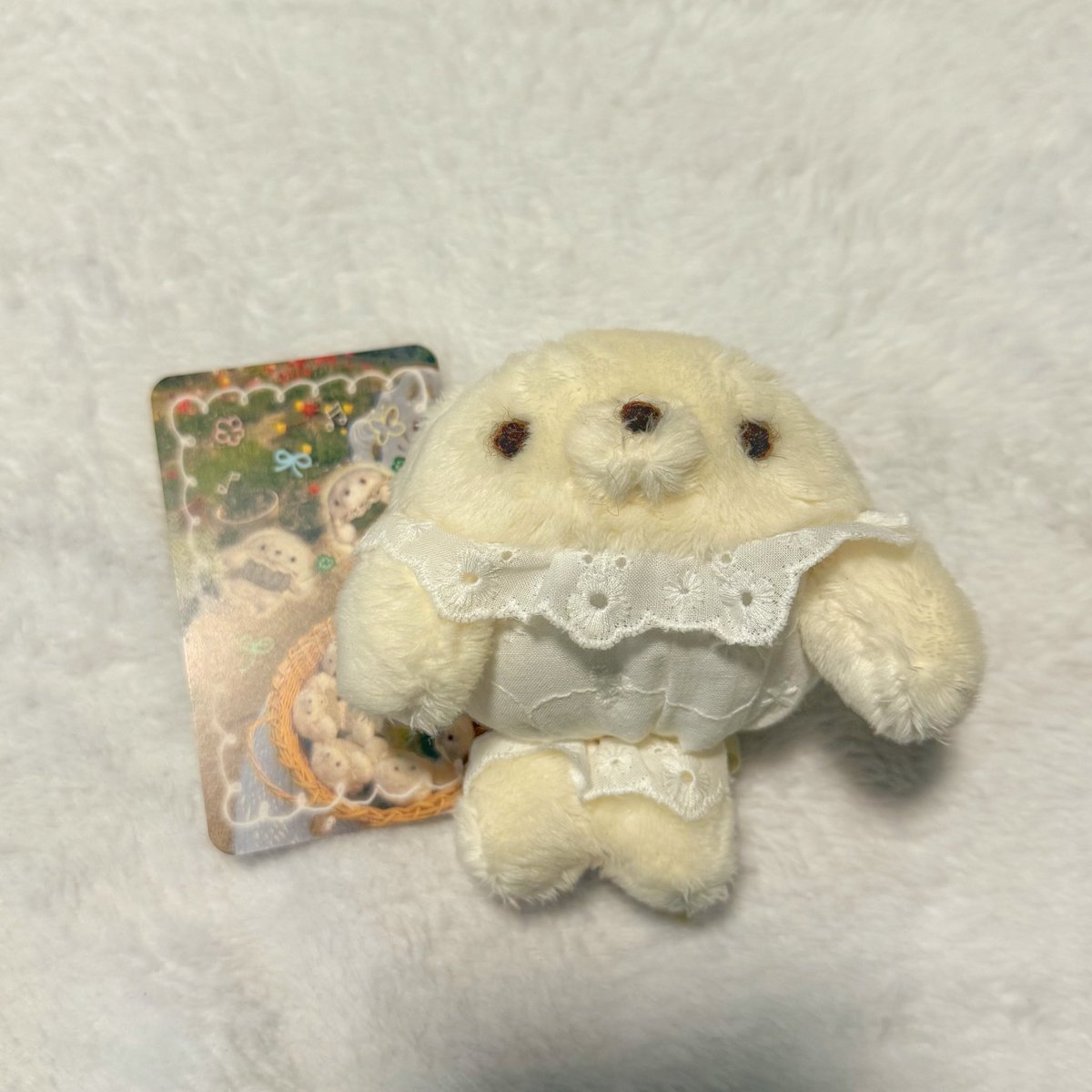 あたたか♡ゆ〜とぴあ(<a href="/atatakayu_topia/">あたたか♡ゆ〜とぴあ</a>)さんの
ミルクあざらし🦭🍼
この子は絶対お迎えしたかったので嬉しい〜！！
巾着に詰められてる姿も癒された🥰