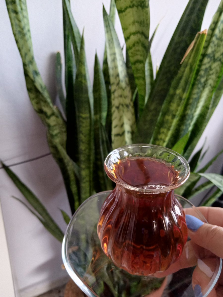 Hep kahve olmaz biraz da çay içelim 🫖 afiyetle..